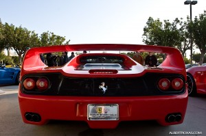 IMG_0328_rev