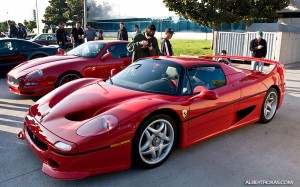 IMG_0333_rev