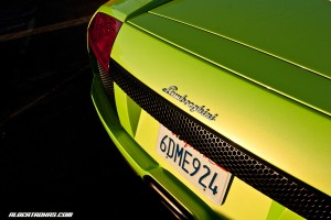 IMG_7118_rev