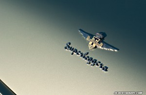 IMG_7122_rev