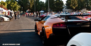 IMG_7163_rev