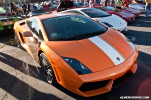 IMG_7351_rev