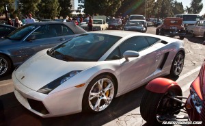 IMG_7442_rev
