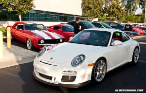 IMG_7455_rev