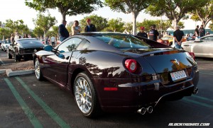 IMG_7537_rev