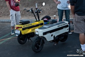 IMG_8206_rev