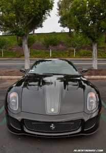 IMG_8950_rev