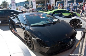 IMG_9773_rev