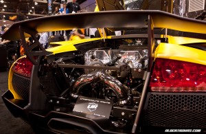 IMG_9831_rev