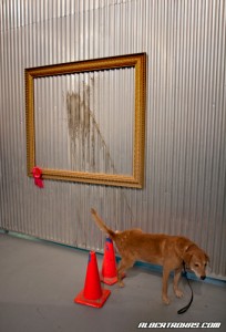 banksy2