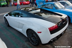 bicolor2