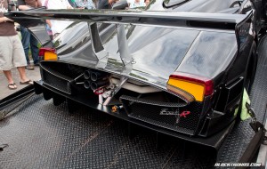 IMG_0176_rev