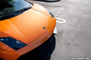 IMG_8388_rev