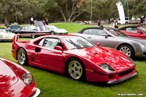IMG_1099_rev