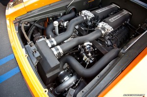 IMG_6638_rev