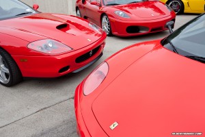 IMG_9568_rev