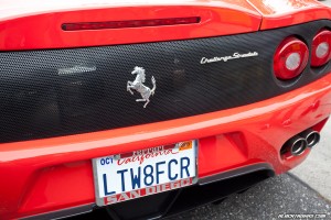 IMG_9570_rev