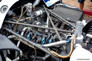 IMG_9659_rev