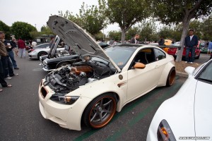 IMG_9809_rev
