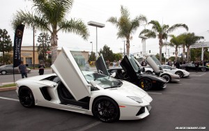 IMG_9843_rev