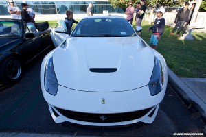 IMG_3075_rev
