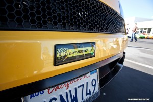 IMG_3126_rev